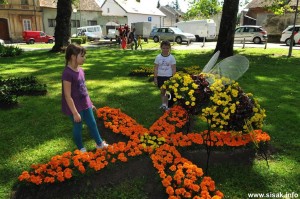 Read more about the article Sajam cvijeća u Sisku i Cvjetni korzo