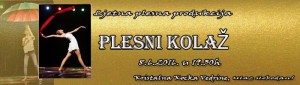 Read more about the article Ljetna produkcija Plesnog kluba Tina “Plesni kolaž”