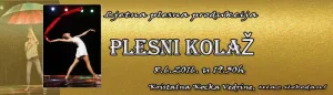 Pročitajte više o članku Ljetna produkcija Plesnog kluba Tina “Plesni kolaž”