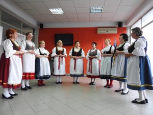 Read more about the article Dani češke kulture u Sisku