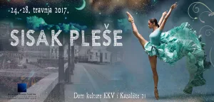 Pročitajte više o članku Sisak pleše – Workshop “Expressive flow”