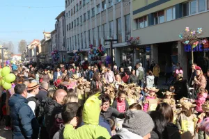 Pročitajte više o članku Održan Dječji Fašnik u Sisku