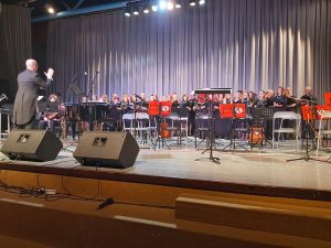 Read more about the article Koncertom “Brodway u Sisku” završeni 21. Dani glazbe Miroslava Miletića