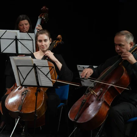 Autor zoran luketić varaždinski komorni orkestar (11)