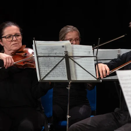 Autor zoran luketić varaždinski komorni orkestar (14)