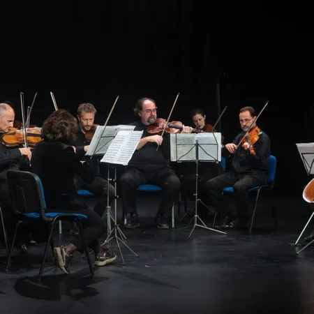 Autor zoran luketić varaždinski komorni orkestar (16)