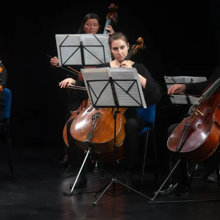 Autor zoran luketić varaždinski komorni orkestar (17)