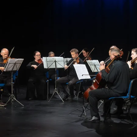 Autor zoran luketić varaždinski komorni orkestar (18)
