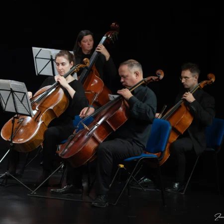 Autor zoran luketić varaždinski komorni orkestar (24)
