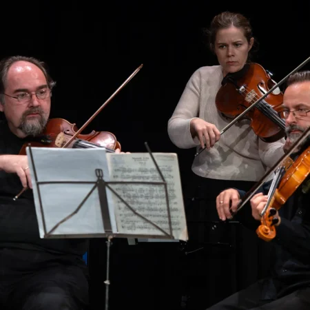 Autor zoran luketić varaždinski komorni orkestar (5)