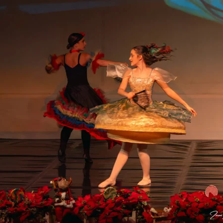 Autor Zoran Luketić Balet 'Orašar' (22)