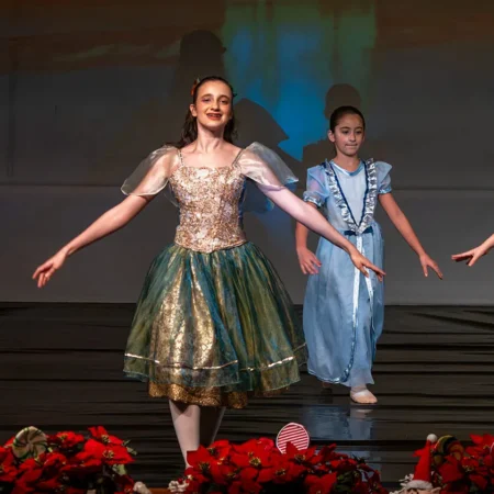 Autor Zoran Luketić Balet 'Orašar' (24)