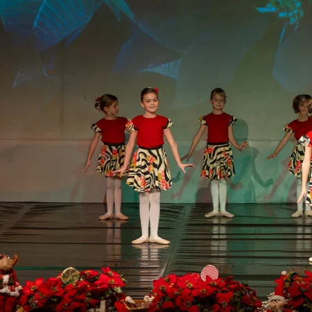 Autor Zoran Luketić Balet 'Orašar' (38)