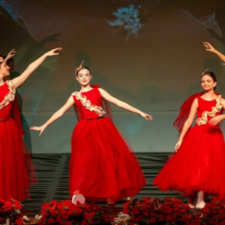 Autor Zoran Luketić Balet 'Orašar' (40)