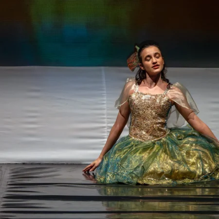 Autor Zoran Luketić Balet 'Orašar' (45)