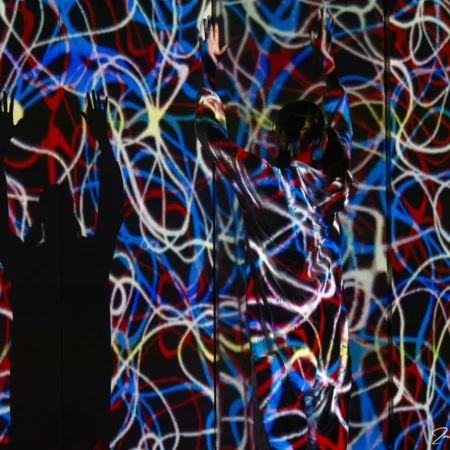 Autor Zoran Luketić Predstava 'Putovanje prema snu' 30.01.2026 (12)