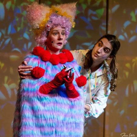 Autor Zoran Luketić Predstava 'Putovanje prema snu' 30.01.2026 (15)