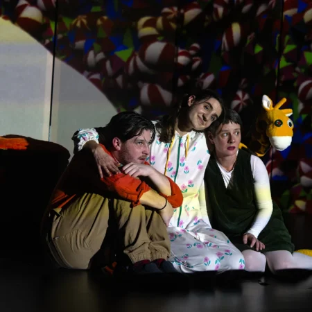 Autor Zoran Luketić Predstava 'Putovanje prema snu' 30.01.2026 (16)