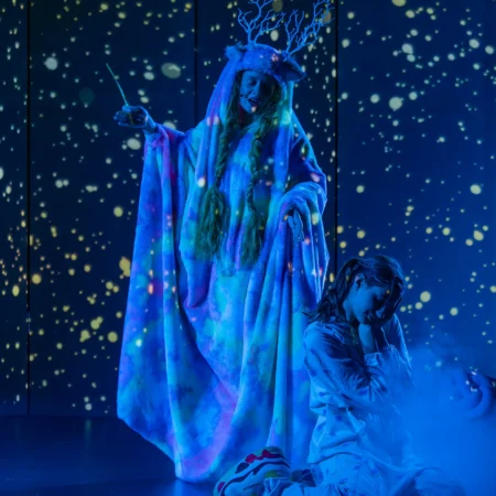 Autor Zoran Luketić Predstava 'Putovanje prema snu' 30.01.2026 (3)