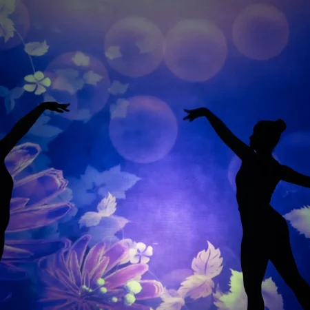 Autor Zoran Luketić Predstava 'Pepeljug' 06.02.2026 (10)