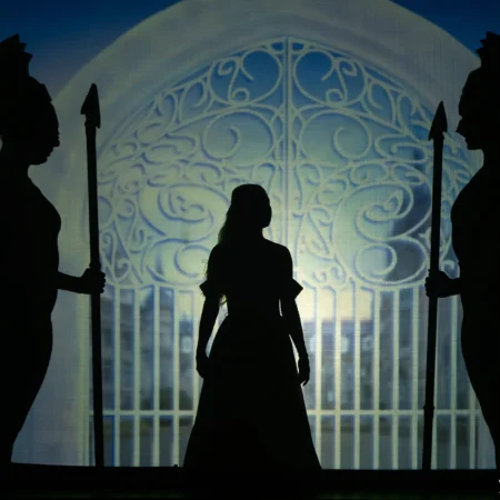 Autor Zoran Luketić Predstava 'Pepeljug' 06.02.2026 (19)