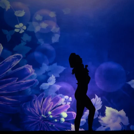 Autor Zoran Luketić Predstava 'Pepeljug' 06.02.2026 (8)