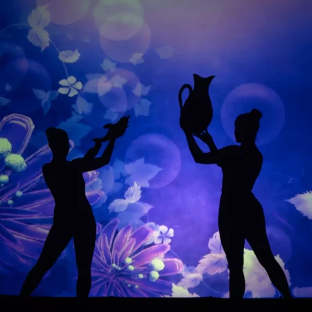 Autor Zoran Luketić Predstava 'Pepeljug' 06.02.2026 (9)