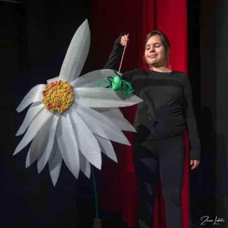 Autor Zoran Luketić (12)