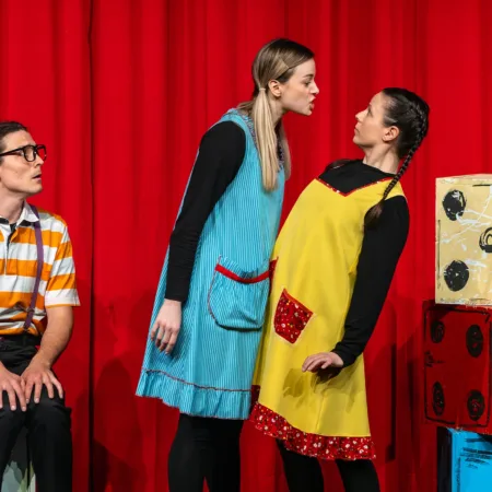 Autor Zoran Luketić Doktor Sveljčić 21.03.2026 (11)