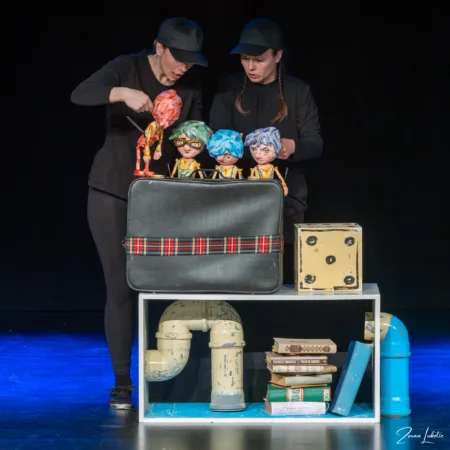 Autor Zoran Luketić Doktor Sveljčić 21.03.2026 (25)