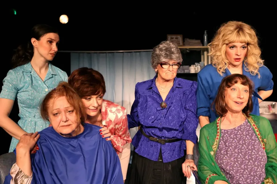 Pročitajte više o članku Dramska pretplata KKV: Čelične magnolije