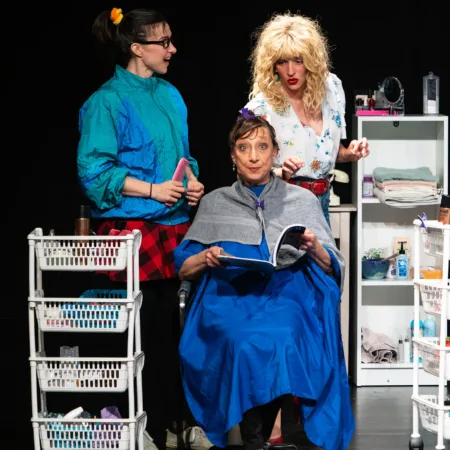 Autor Zoran Luketić Čelične Magnolije 09.04.2026 (12)