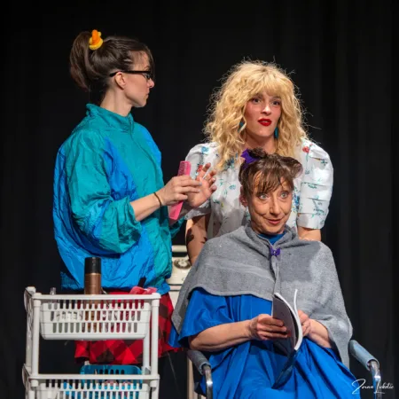 Autor Zoran Luketić Čelične Magnolije 09.04.2026 (14)