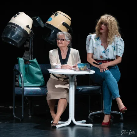 Autor Zoran Luketić Čelične Magnolije 09.04.2026 (20)