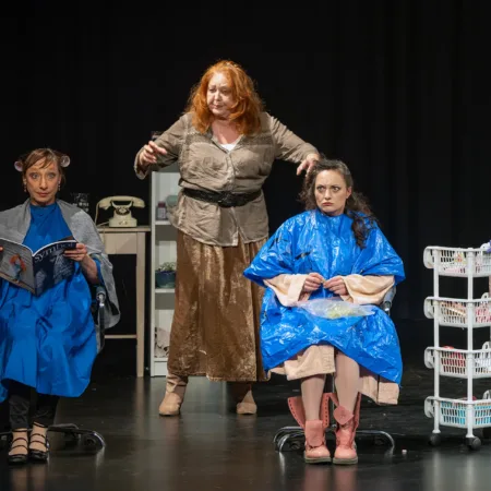 Autor Zoran Luketić Čelične Magnolije 09.04.2026 (21)