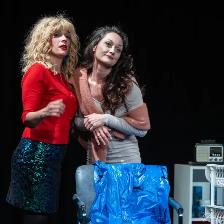 Autor Zoran Luketić Čelične Magnolije 09.04.2026 (24)