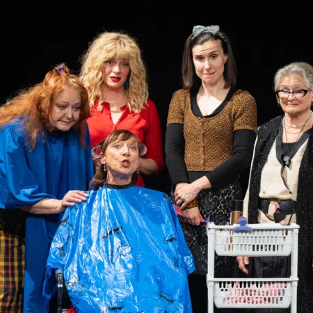 Autor Zoran Luketić Čelične Magnolije 09.04.2026 (25)