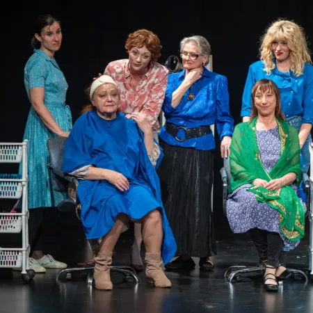 Autor Zoran Luketić Čelične Magnolije 09.04.2026 (27)