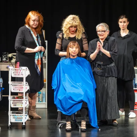 Autor Zoran Luketić Čelične Magnolije 09.04.2026 (28)