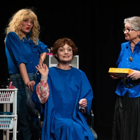 Autor Zoran Luketić Čelične Magnolije 09.04.2026 (39)