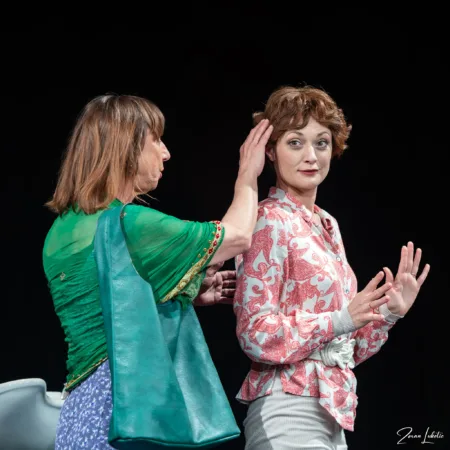 Autor Zoran Luketić Čelične Magnolije 09.04.2026 (47)