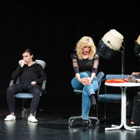 Autor Zoran Luketić Čelične Magnolije 09.04.2026 (56)