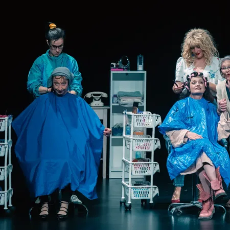 Autor Zoran Luketić Čelične Magnolije 09.04.2026 (8)