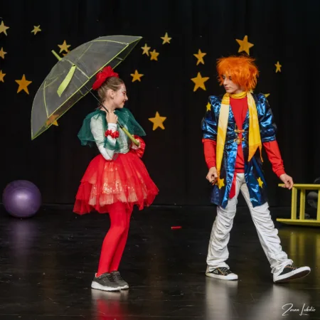 Autor Zoran Luketić Mali princ Maslačak 12.04.2026 (14)