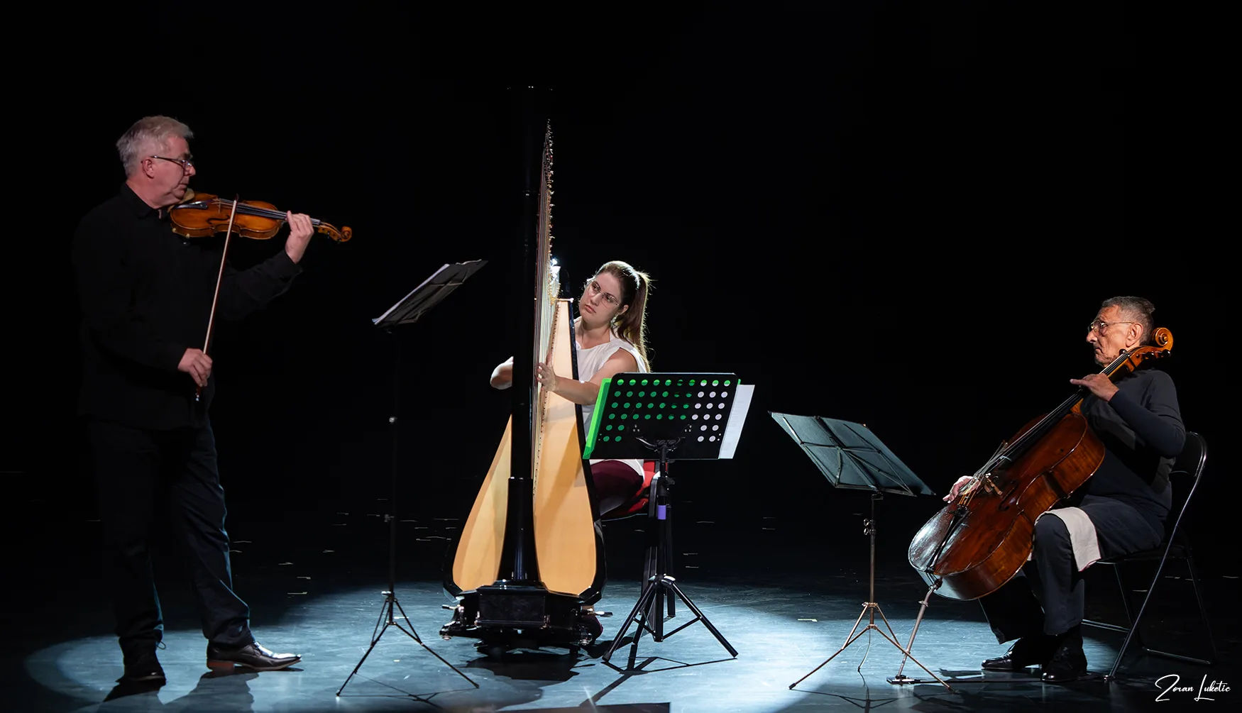 Autor Zoran Luketić Dani glazbe Miroslava Miletića Cristosomo trio 29.09.2026.