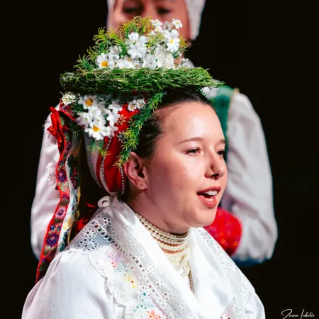 Autor Zoran Luketić Međunarodni gajdaški festival 27.09.2026.
