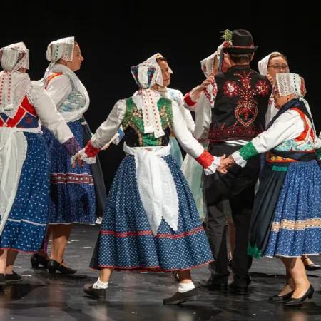 Autor Zoran Luketić Međunarodni gajdaški festival 27.09.2026.