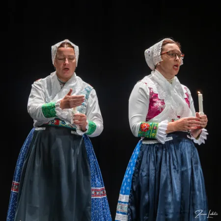 Autor Zoran Luketić Međunarodni gajdaški festival 27.09.2026.
