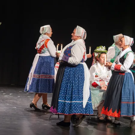Autor Zoran Luketić Međunarodni gajdaški festival 27.09.2026.