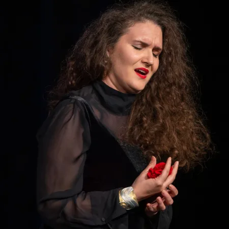 Autor Zoran Luketić Opera Gala 26.10.2026.